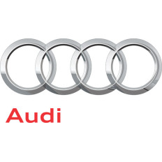 Spray Vopsea Auto AUDI Preparat La Culoarea Masinii