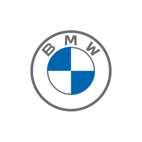 Spray Vopsea Auto BMW Preparat La Culoarea Masinii