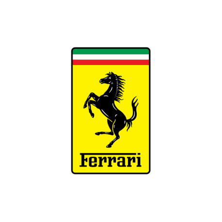 Spray Vopsea Auto FERRARI Preparat La Culoarea Masinii