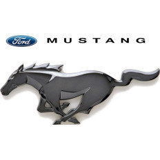 Spray Vopsea Auto FORD MUSTANG Preparat La Culoarea Masinii