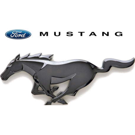 Spray Vopsea Auto FORD MUSTANG Preparat La Culoarea Masinii