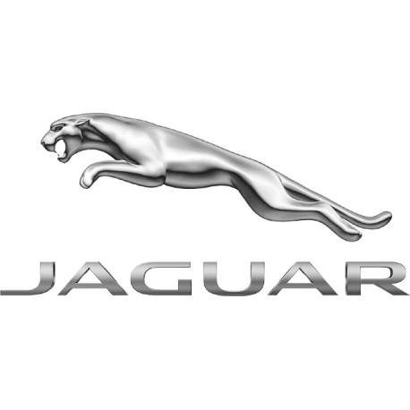 Spray Vopsea Auto JAGUAR Preparat La Culoarea Masinii