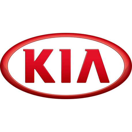 Spray Vopsea Auto KIA Preparat La Culoarea Masinii