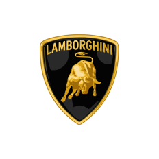 Spray Vopsea Auto LAMBORGHINI Preparat La Culoarea Masinii
