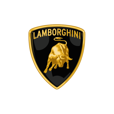 Spray Vopsea Auto LAMBORGHINI Preparat La Culoarea Masinii