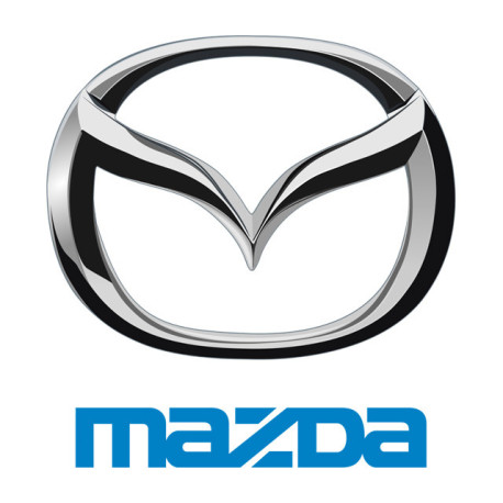 Spray Vopsea Auto MAZDA Preparat La Culoarea Masinii