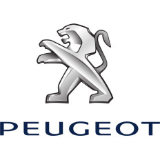 Spray Vopsea Auto PEUGEOT Preparat La Culoarea Masinii