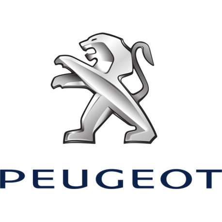 Spray Vopsea Auto PEUGEOT Preparat La Culoarea Masinii