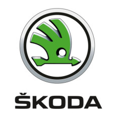 Spray Vopsea Auto ŠKODA Preparat La Culoarea Masinii
