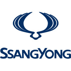 Spray Vopsea Auto SSANGYONG Preparat La Culoarea Masinii
